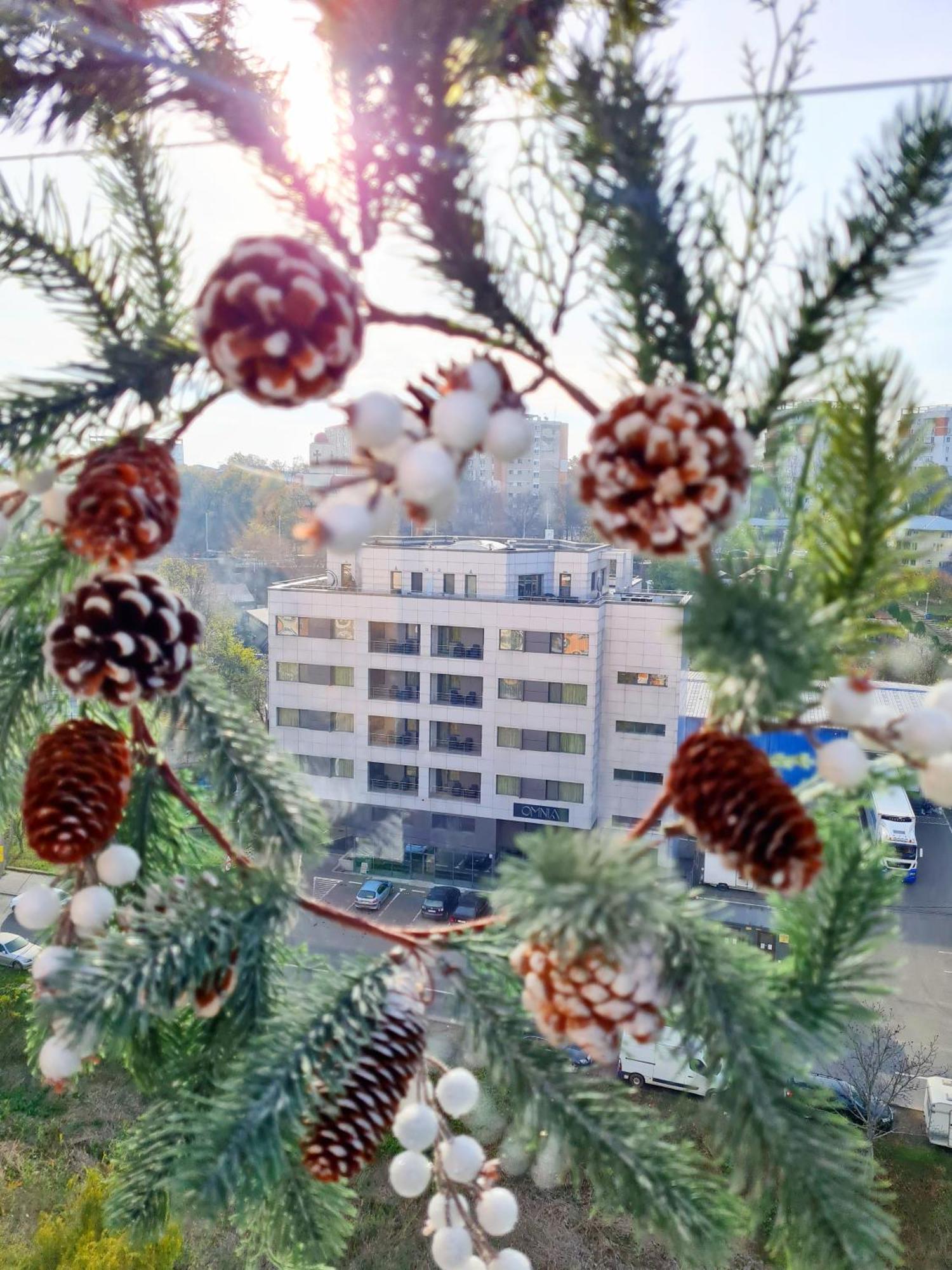 Penthouse Aeroport Iasi Apartment Exterior foto